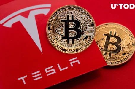 Elon Musk’s Tesla to Unveil Its Bitcoin (BTC) Holdings Today