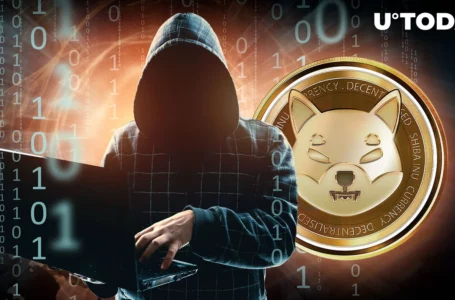 SHIB Lead Dev Kusama Puzzles Shiba Inu Community, Here’s How