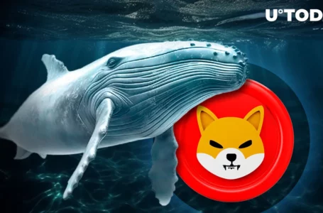 Shiba Inu (SHIB) Possible Price Correction Triggers Whale Exodus