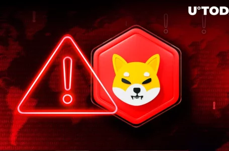 SHIB Team Issues Crucial Warning to Shiba Inu Army