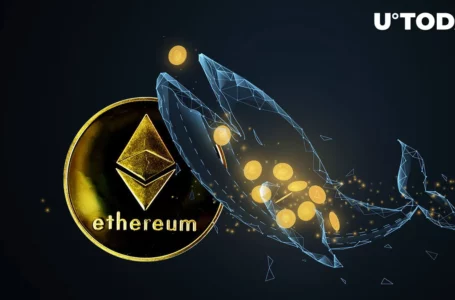 Crypto Whale Longing Ethereum (ETH) in Fix as Liquidation Beckons
