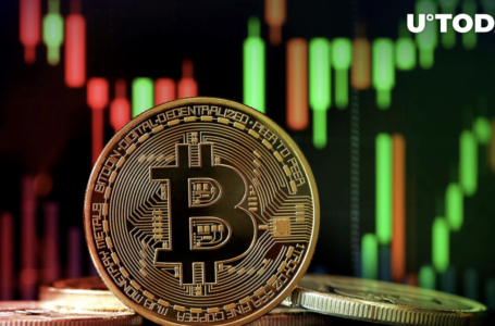 Major Bitcoin Price Drop “Improbable,” Glassnode Co-Founder Says
