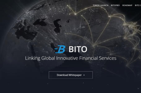 BITO Coin Review: All To Know About