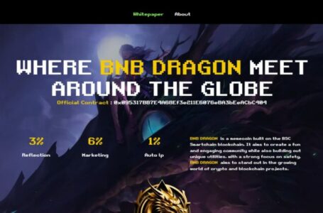 BNBDragon Review: Everything To Know About