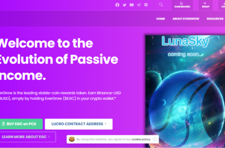 EverGrow Crypto Review: All To Know About
