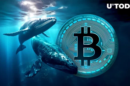 New Major Bitcoin Whales Emerge