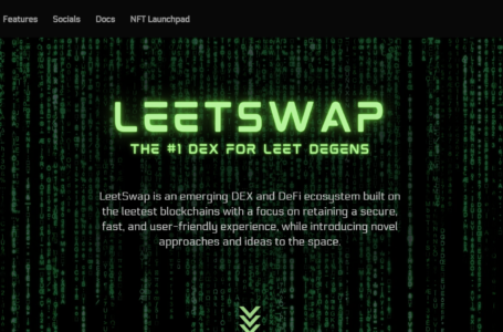 LeetSwap Review: Everything To Know About