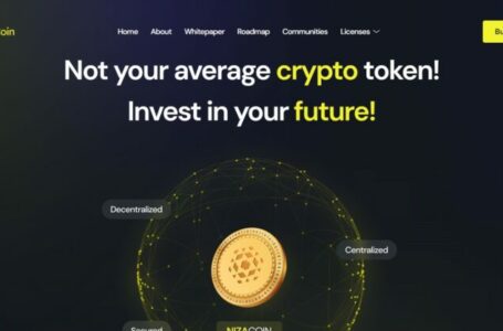 Niza Global Review: A Blockchain Ethereum (ERC20) Token