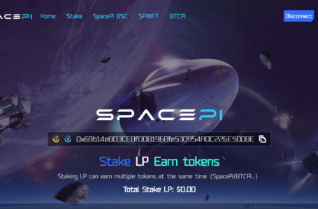 SpacePi Review: All To Know About