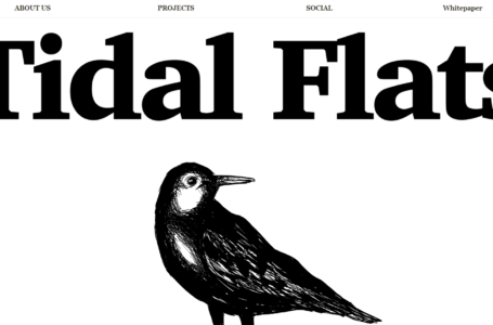 Tidal Flats Review: A Dynamic Web3 Creative Studio