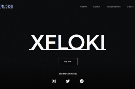 XFLOKI Review: Everything To Know About