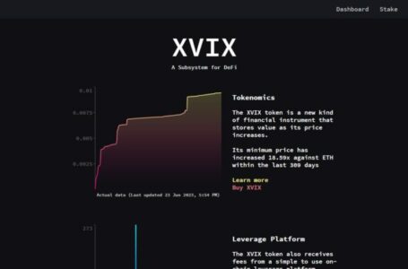 XVIX Review: An Innovative Token That is Revolutionizing The Concept of Value Absorption From Volatility