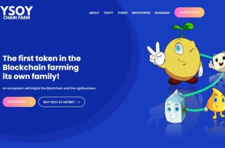 YTOFU Review: A Group of Non-Competitive, Interoperable, Decentralized, Smart Multichain Contracts