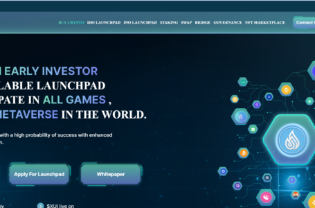 YouSUI Review: All You Need To Know