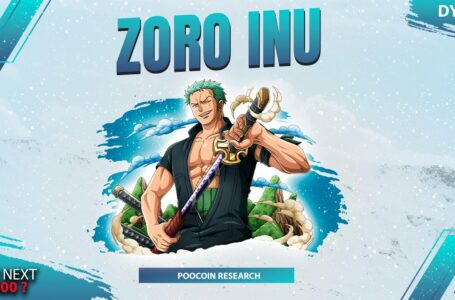 Zoro Inu Review: A Promising Community-Controlled Deflationary Token