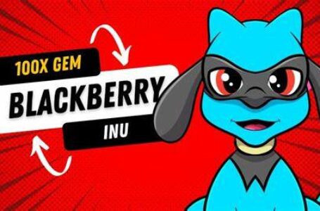 Blackberry Inu Review: All You Need To Know