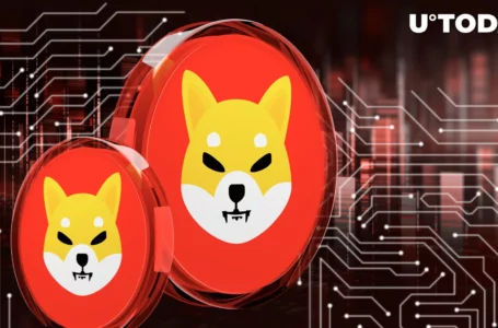 Shiba Inu (SHIB) Team Issues Warning to Community: Details