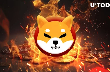 SHIB Burn Rate Jumps 7,700% as Shiba Inu Price Aims New Move
