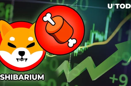 Shiba Inu’s Shibarium Surges to All-Time High With 26 Million BONE Tokens Staked