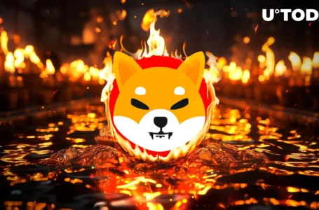 Shiba Inu (SHIB) Burn Rate up 235%, Potential Surge Ahead?