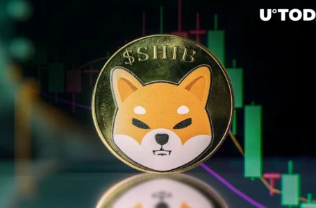 Here’s Why Shiba Inu (SHIB) 5 Trillion Drop Could Be Good Sign
