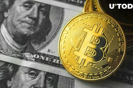 Bitcoin (BTC) Witnesses Unusual $120 Million Transaction Activity Today