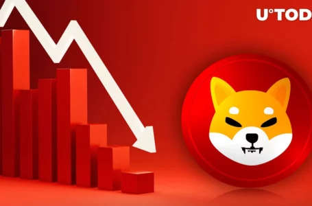 This Shiba Inu (SHIB) Metric Plummets Massively: What’s Wrong?