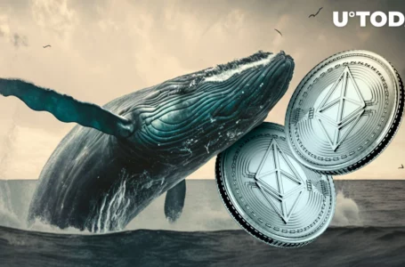 Ethereum Whales Dumping ETH Hard: Report