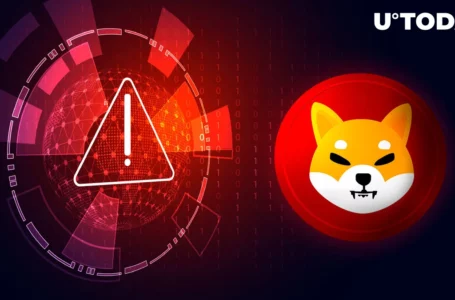 Shiba Inu (SHIB) Community Receives Critical Warning, What It Pertains