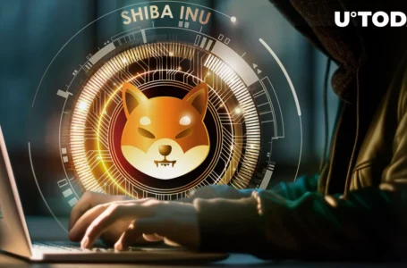 Shiba Inu Lead Kusama Teases Significant Changes