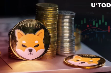 Shiba Inu (SHIB) Key Indicator Paints Picture You Don’t Want to See