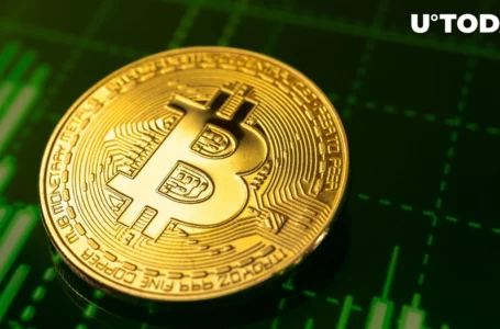 Over 83% of Bitcoin Now Profitable After Recent BTC Price Surge