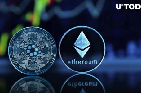 Cardano Community Up In Arms About Vitalik Buterin’s Latest Post