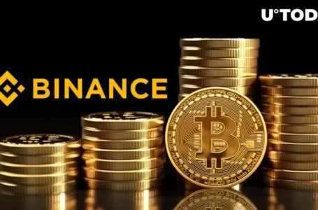 20,775 BTC Moved to Binance and Coinbase After This Major BTC Metric Shifts