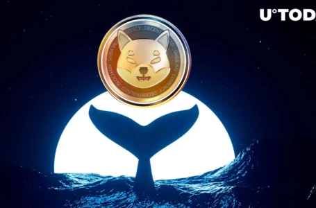 Shiba Inu Whales Secure 7.84 Trillion SHIB Overnight as Price Teases Crucial Point