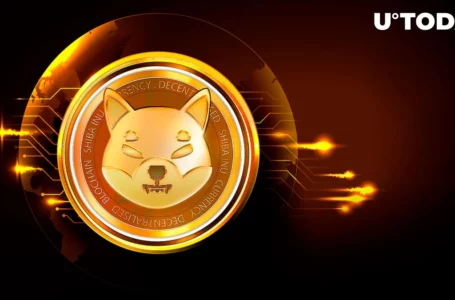 Shiba Inu (SHIB) on Track to Erase Another Zero, Top Trader Predicts
