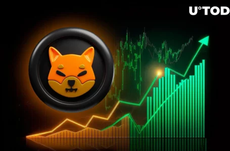 Shiba Inu Triggers 627% On-Chain Spike as SHIB Price Jumps