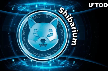 Shibarium Needs to Cross This Hurdle to Go Mainstream