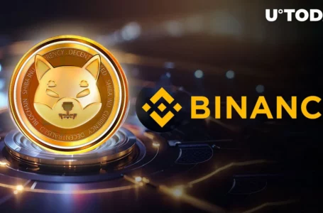 50 Billion Shiba Inu (SHIB) Moved on Binace by Jump Trading: Is Selling Incoming?