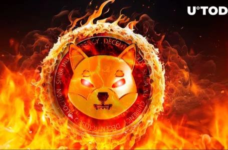 SHIB Burns Jumped Whopping 35,614% on Sunday – What Happened?