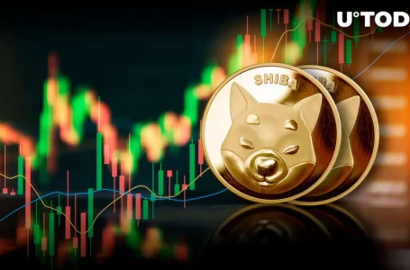 Shiba Inu (SHIB) Getting Ready for 12% Price Surge