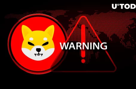 Shiba Inu Holders Warned as Exciting SHIB Developments Unfold