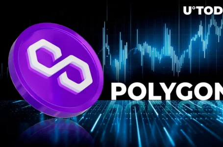 Polygon (MATIC) Price up 10%, See Reason Behind It