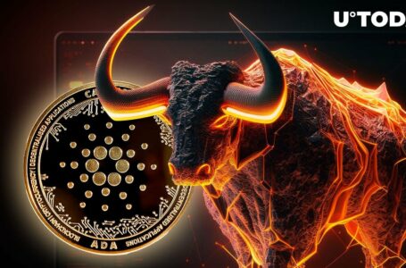 Cardano’s Bullish Breakout: ADA Eyes 20% Jump as Volume Surges