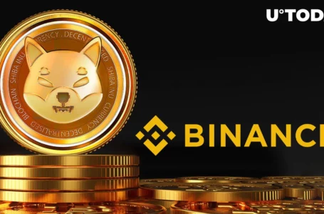 Shiba Inu (SHIB) 144 Billion Transfer Spotted on Binance: Details