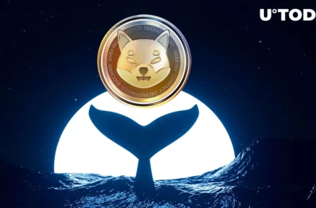 Shiba Inu Whales’ Action Sees 124% Spike as SHIB Price Jumps
