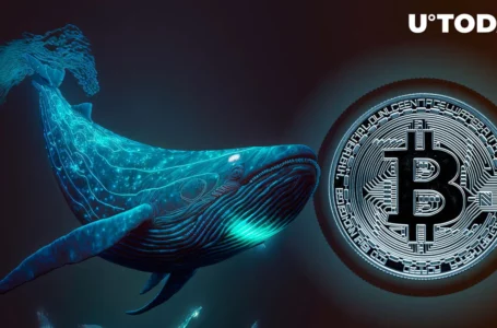 Bitcoin (BTC) Whales Balance Hits New Milestone: Details