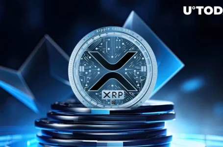XRP Explorer Modifies ‘Rich List’ Feature, Here’s Its Impact
