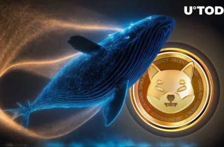 Shiba Inu (SHIB) Whales Inspire Ambitious SHIB Price Surge