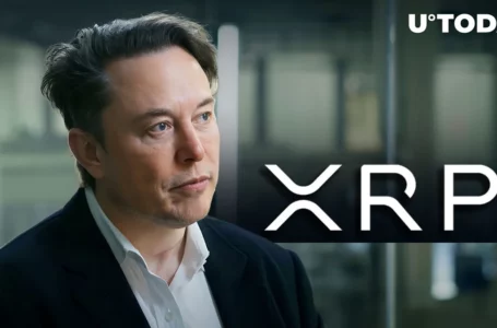 Elon Musk’s Tweet Triggers Bullish Response From XRP Army
